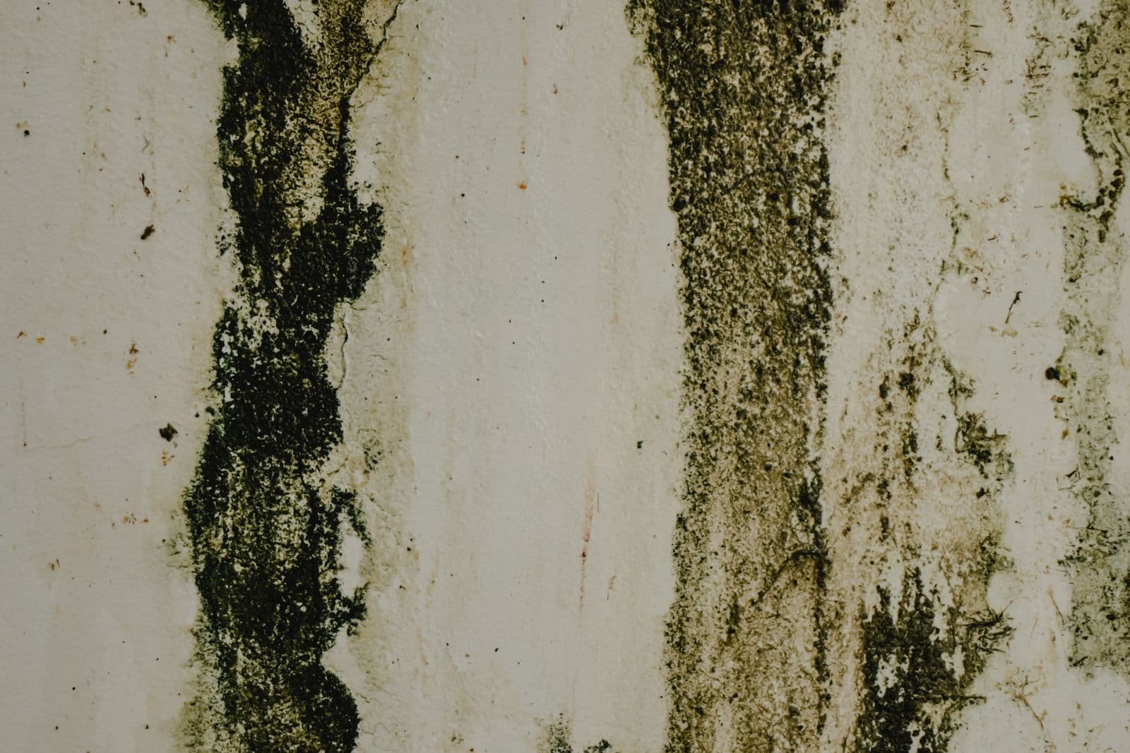 Before: Wall with dark mold growth and moisture stains